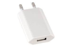 16088939 Сетевое зарядное устройство с разъемом USB 1А Тип 1 I4605 30 004 462 Perfeo