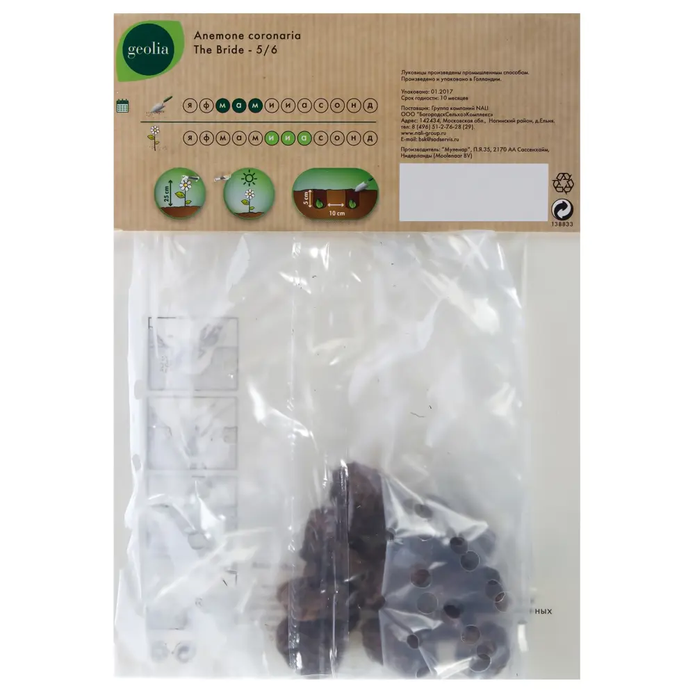 Анемона Geolia «Bride», 5х6 см 15548626 STLM-2052487  - Вид №1