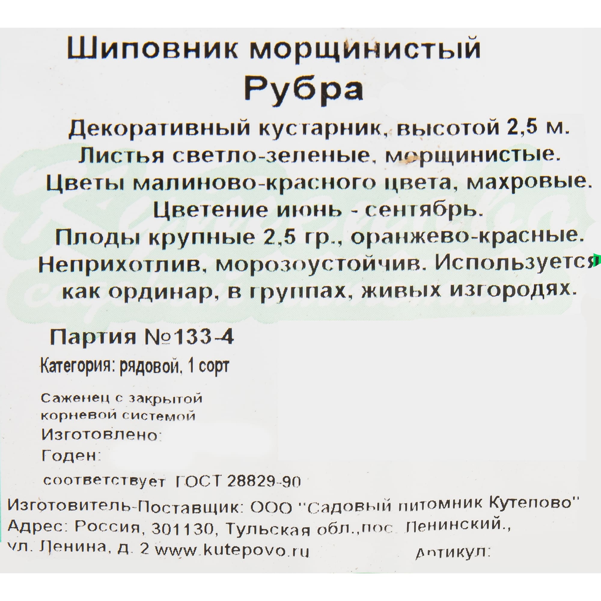 82595269 Шиповник морщинистый «Рубра» 15x40 см Santreyd  - Вид №1