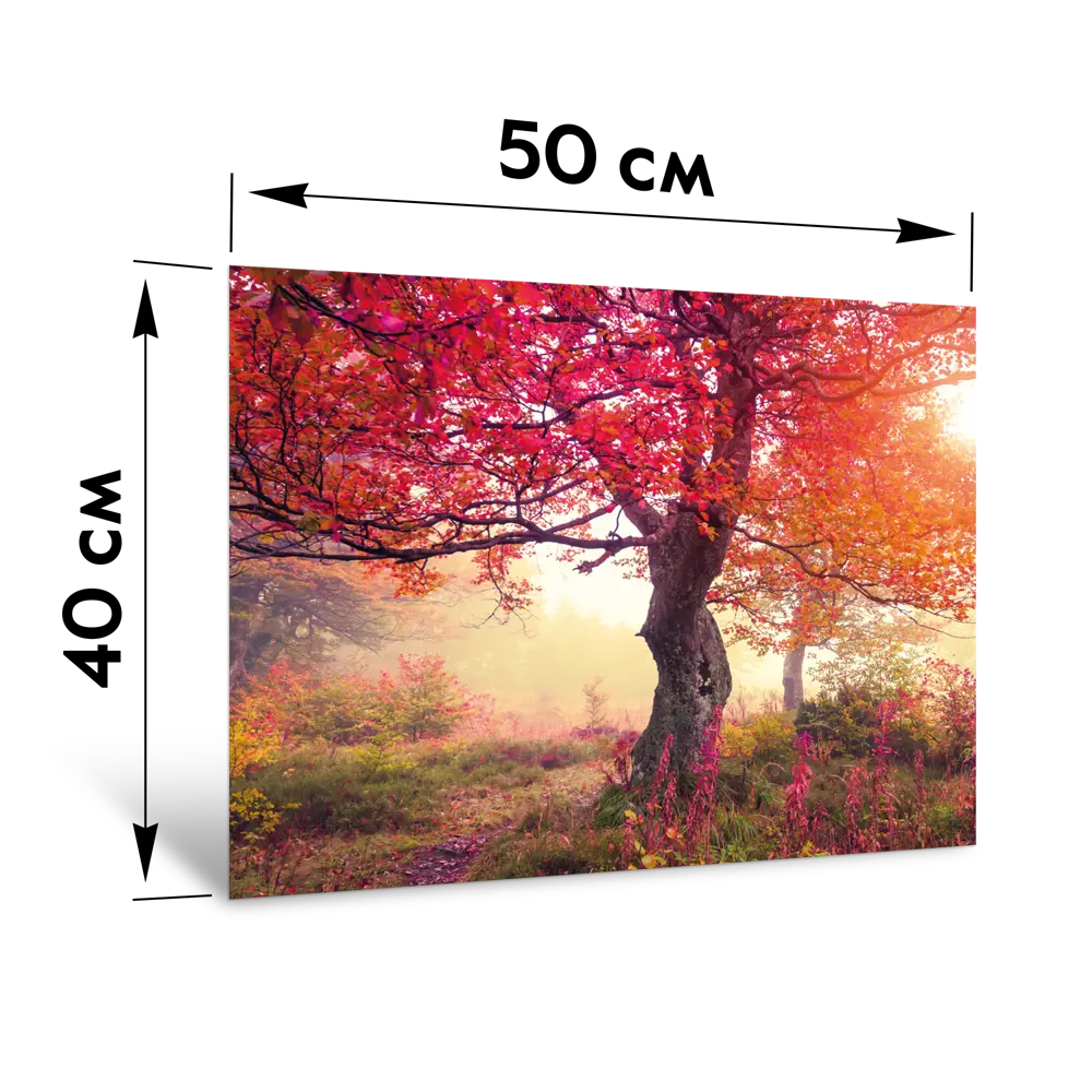 Картина на стекле Postermarket Красное дерево 40x50 см STLM-2168344 - Вид №3