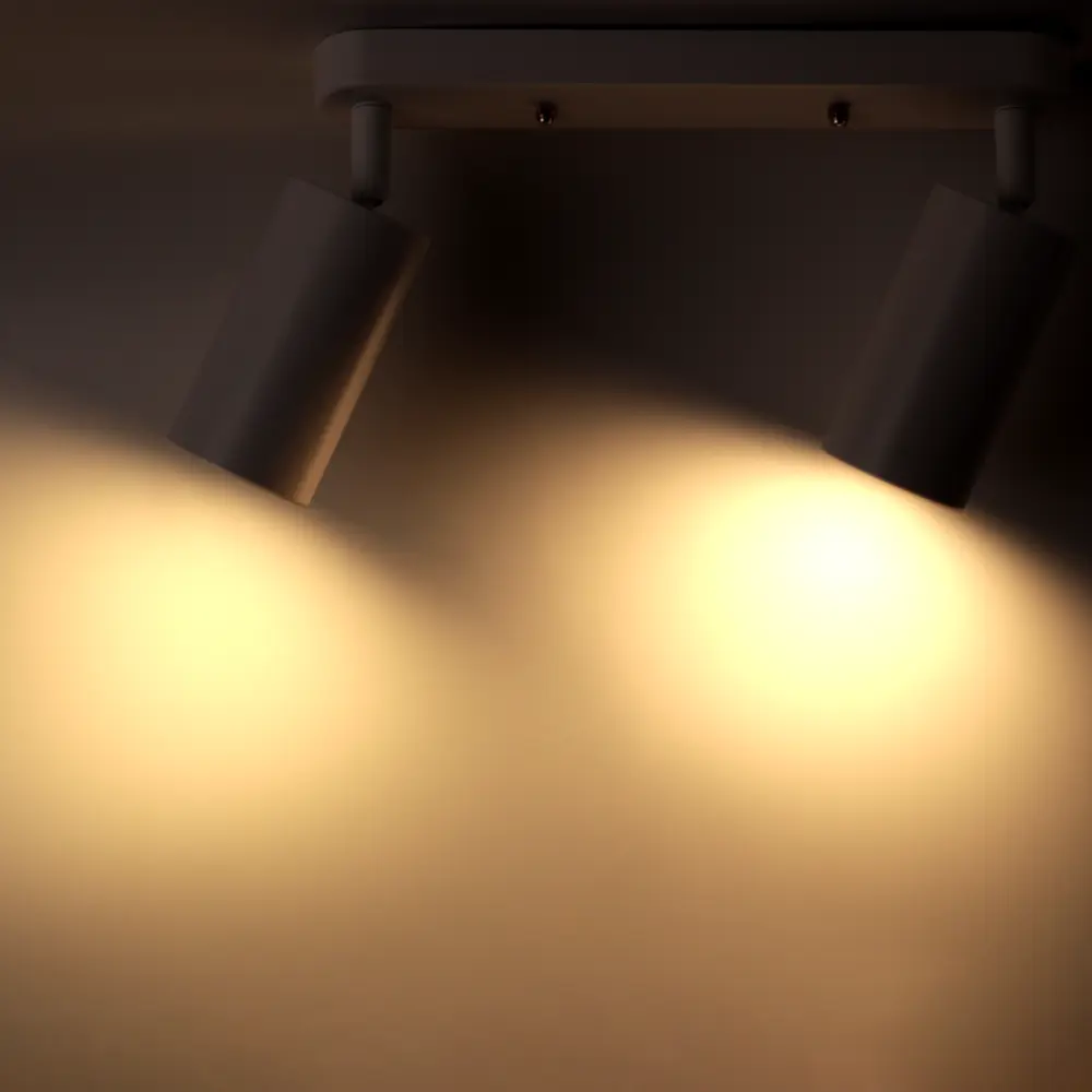 Поворотный спот Ritter Arton с двумя лампами GU10 для точечного освещения 83979296 STLM-0045771 - Вид №2