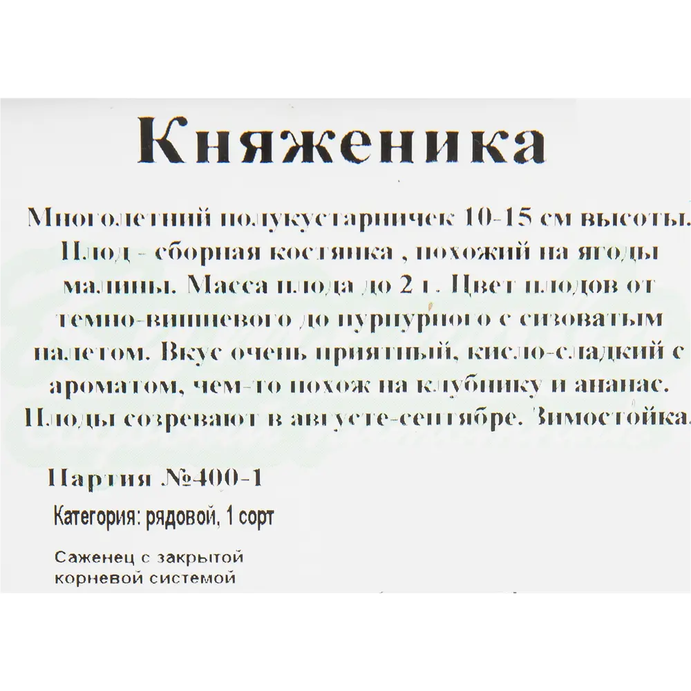 Княженика C2 высота 20 см 82597095 STLM-2044882 Santreyd  - Вид №1