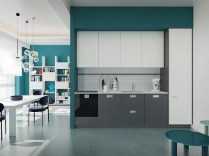 Моноблочная кухня