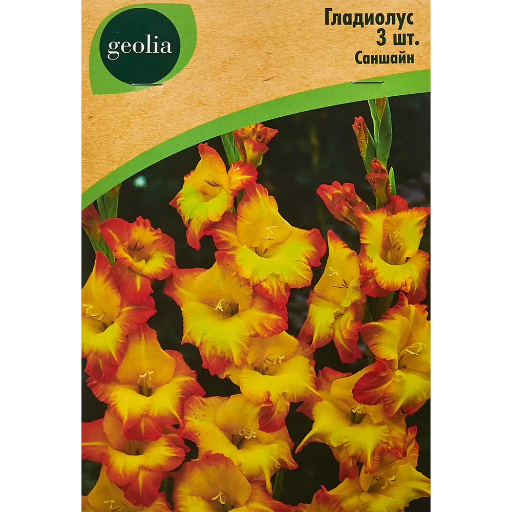 Гладиолус крупноцветковый Саншайн Geolia 3 шт 86408552 STLM-2115857 