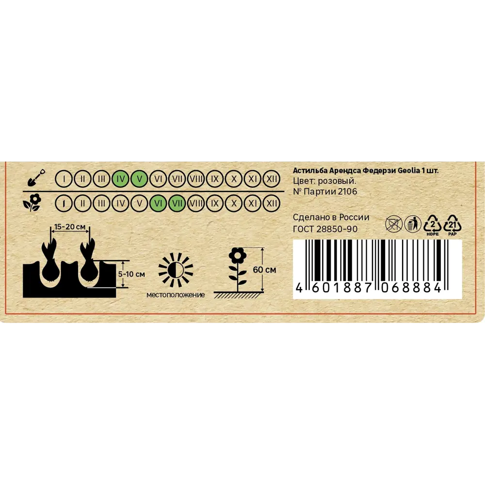 Астильба Арендса Федерзи - розовоцветущее корневище для сада 86408602 GEOLIA STLM-1565701 - Вид №3