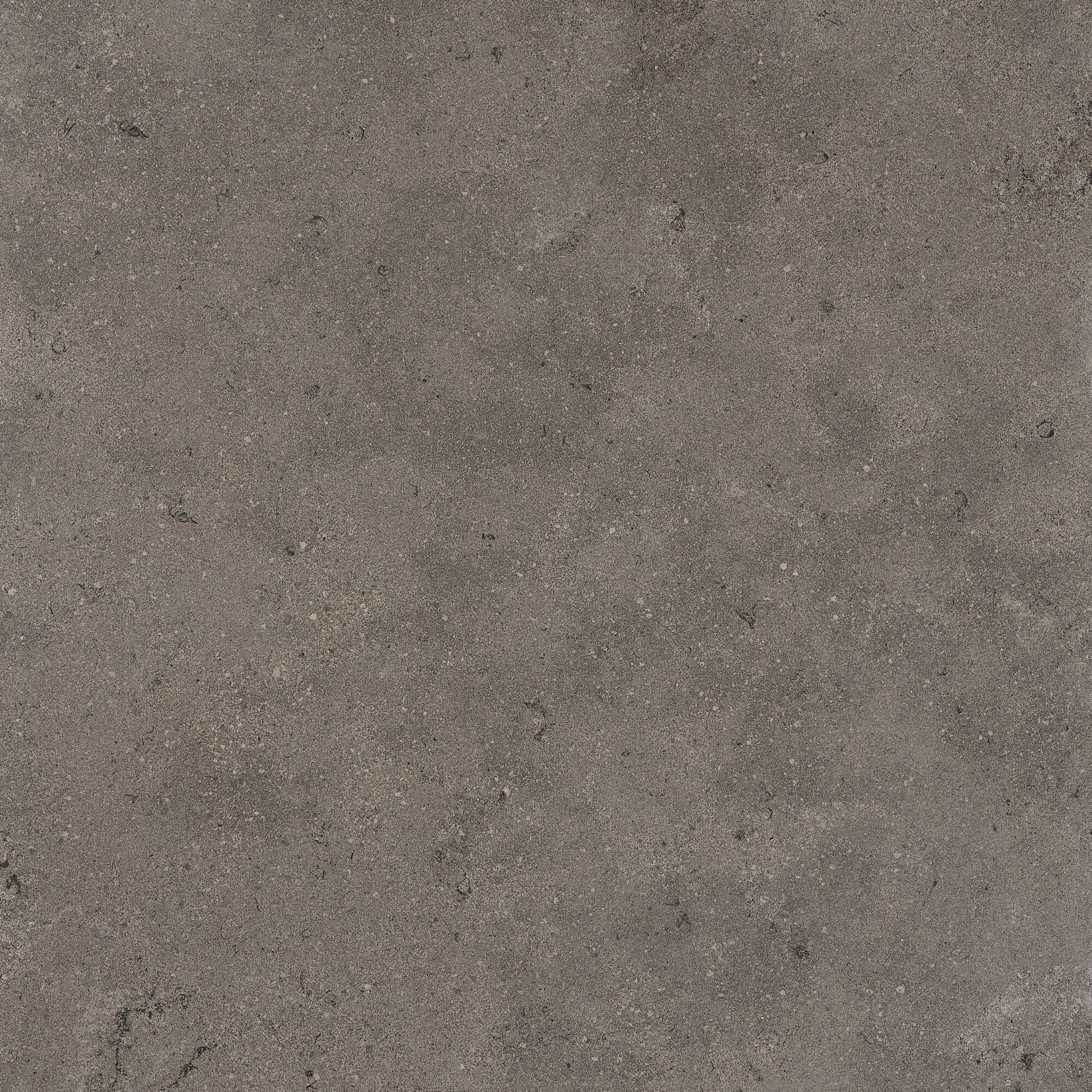 Керамогранит / напольное покрытие ARIOSTEA ELEMENTAE FULL BODY ARCH-00033684 - Вид №9