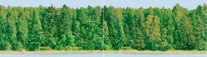 Decor Forest Panno 25x90