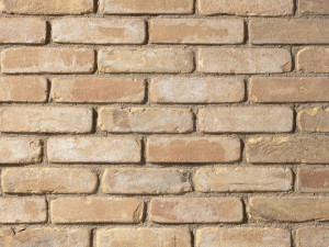 Натуральный терракотовый облицовочный кирпич