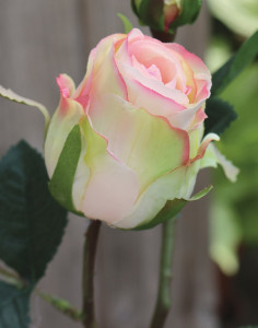 3295 753 a3 Шелковая роза, 1 цветок, 1 бутон, 45 см, бежево-абрикосовый H-andreas