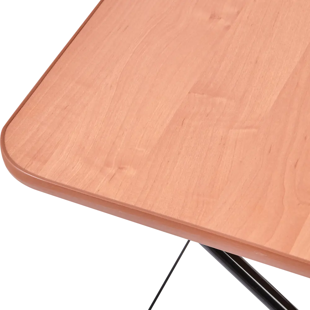 Стол туристический складной АРТ ТСТ 50x75 см металл бежевый Nika складные столы STLM-2137849 - Вид №5