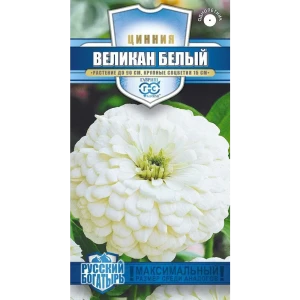 Цинния Великан белая Русский богатырь от ГАВРИШ - элитные семена для сада 83583234