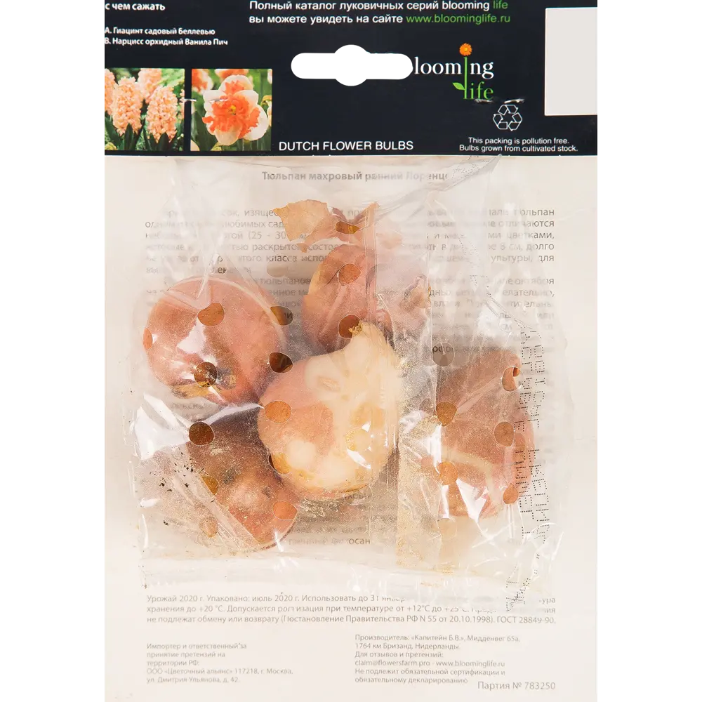 Тюльпан «Лоренцо» размер луковицы 12, 5 шт BLOOMING LIFE STLM-2044991 - Вид №1