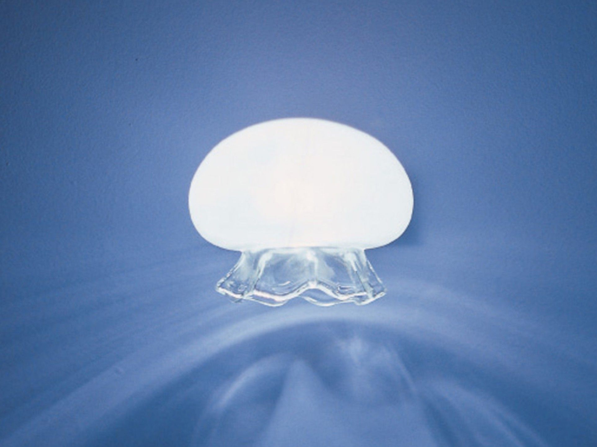 Настенный светильник из дутого стекла Album Medusina ARCH-00119977