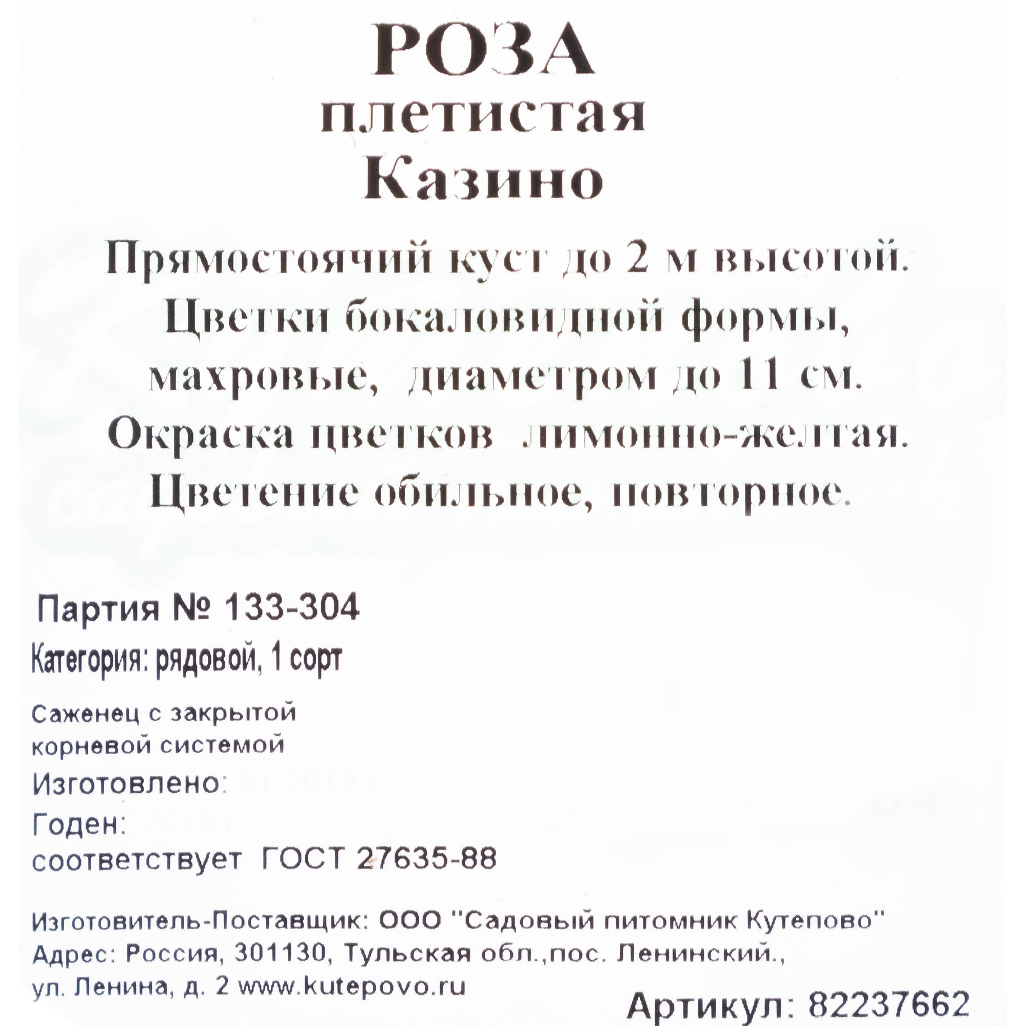 82237662 Роза плетистая «Казино» С4 Santreyd 