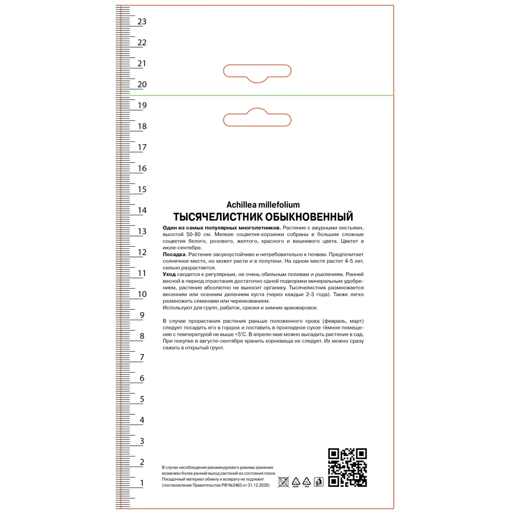 Тысячелистник обыкновенный Лилак Бьюти 89452301 STLM-2052427 ПОИСК  - Вид №1