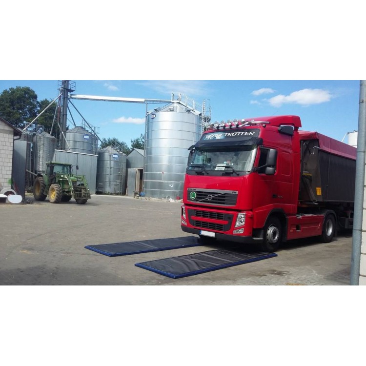 Техно-ЭКО Дезбарьер для дезинфекции автотранспорта Техно-ЭКО 200*200*4 Santreyd 