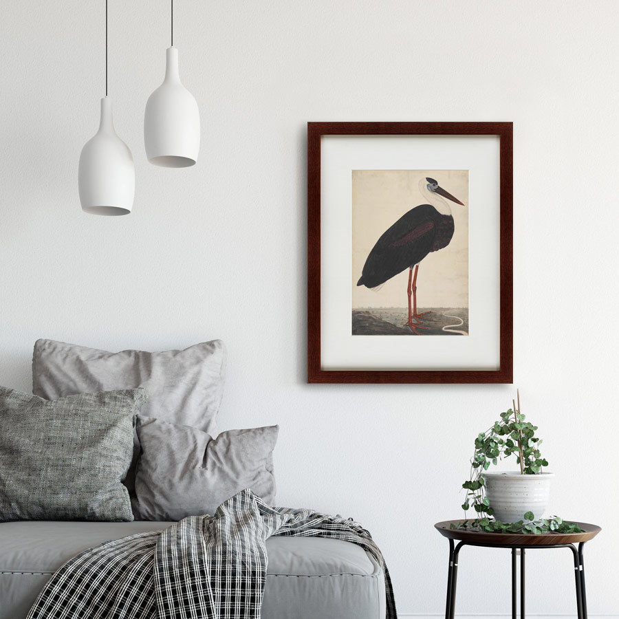 Картина: Black Stork in a Landscape, Индия, 1780 КАРТИНЫ В КВАРТИРУ  135771 Разноцветный  - Вид №1