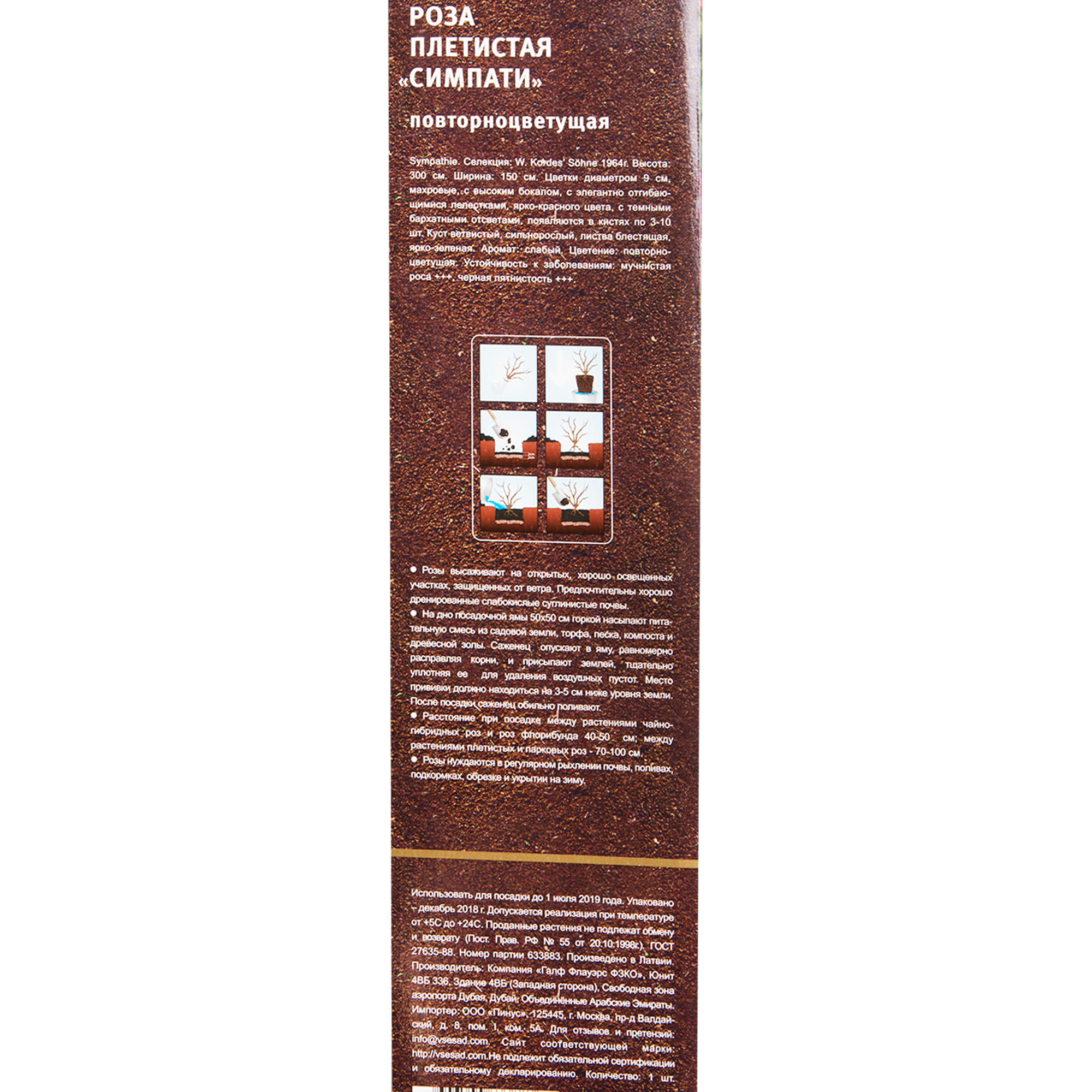 82142853 Роза плетистая «Симпати» в тубе Santreyd  - Вид №2