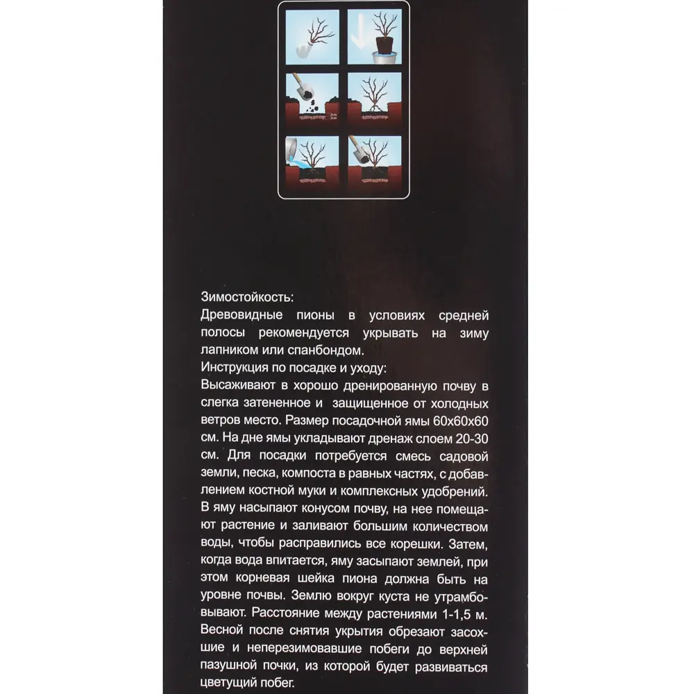 Пион древовидный «Инь и Янь» (в тубе) 81948477 STLM-2009025 Santreyd  - Вид №3