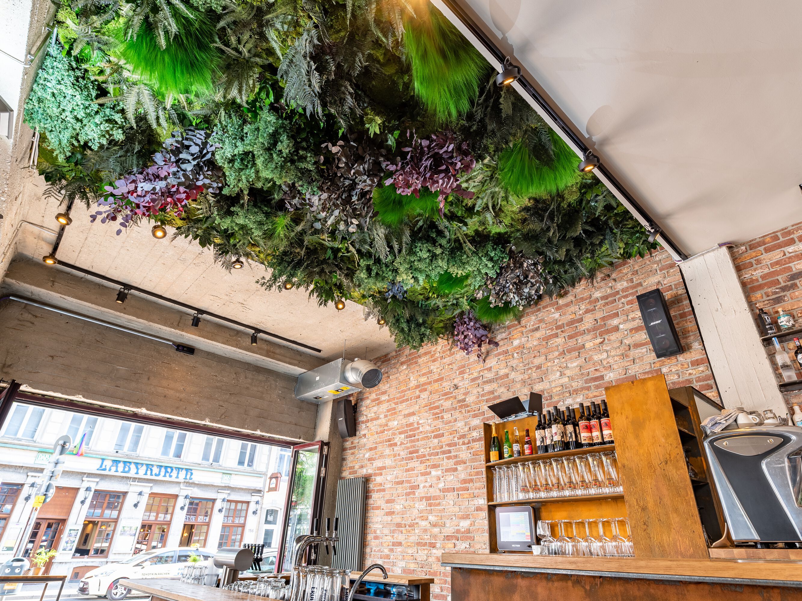 Растительная стена из мха / стабилизированные растения Freund GmbH ARCH-00116039 - Вид №8