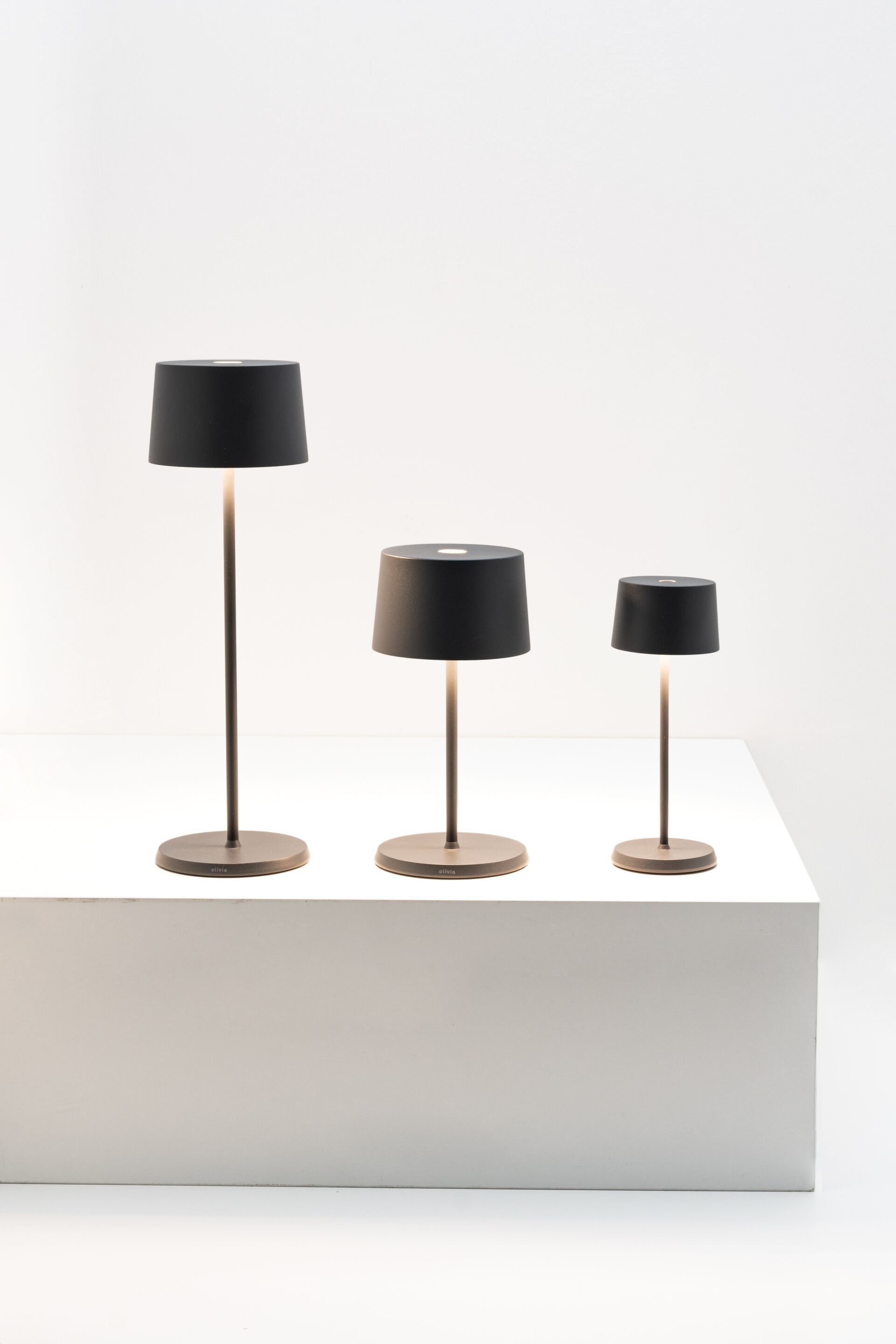 Алюминиевая светодиодная настольная лампа с батарейным питанием Zafferano Оливия ARCH-00101554 - Вид №7