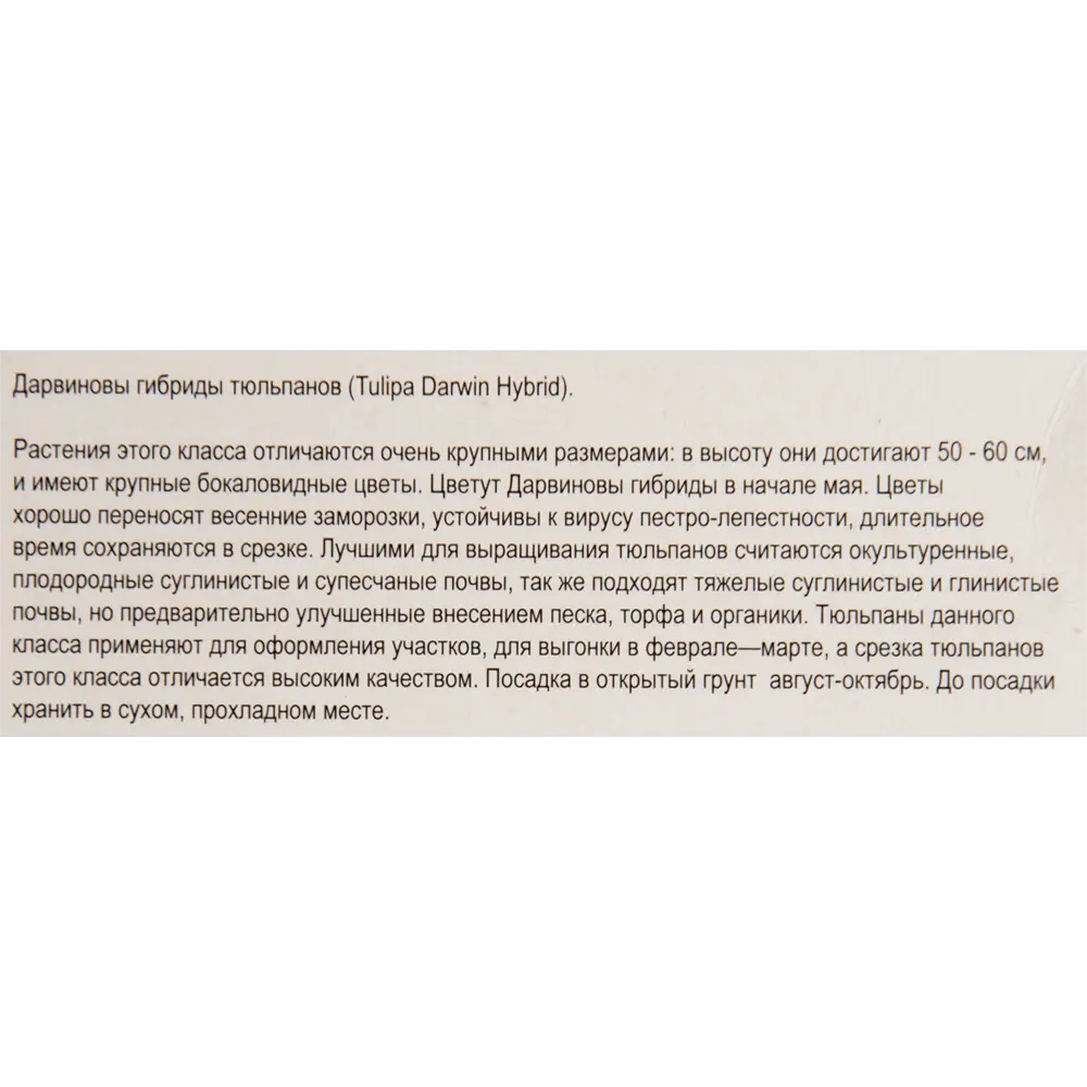 Тюльпан «Apeldoorn» размер луковицы 10/11, 3 шт. 82365316 STLM-2168998 Santreyd  - Вид №2