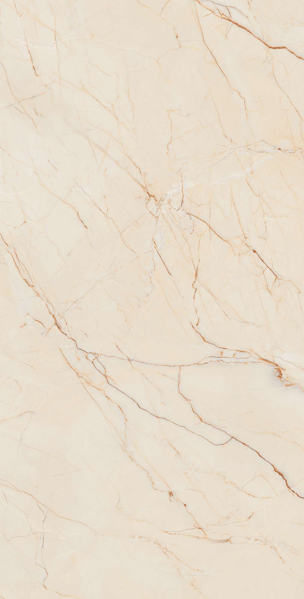 Керамогранит ETNA BEIGE 60х120 Arcadia Ceramica CR4001-A - Вид №9