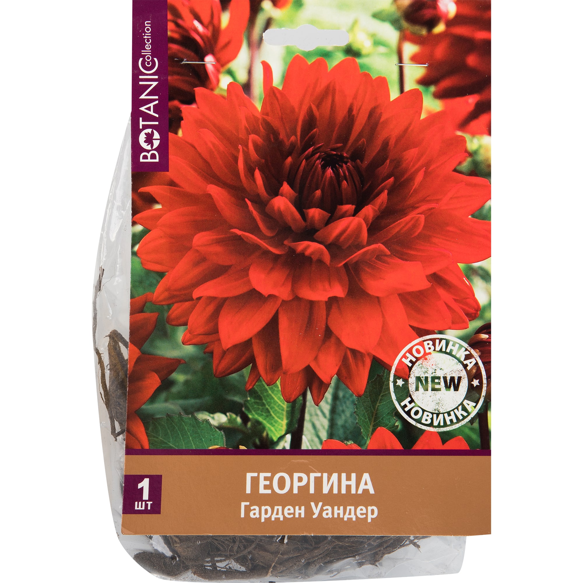 82539283 Георгина «Гарден вандер» Santreyd 