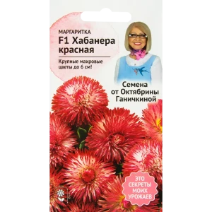 Маргаритка «Хабанера» красная F1 5 шт.