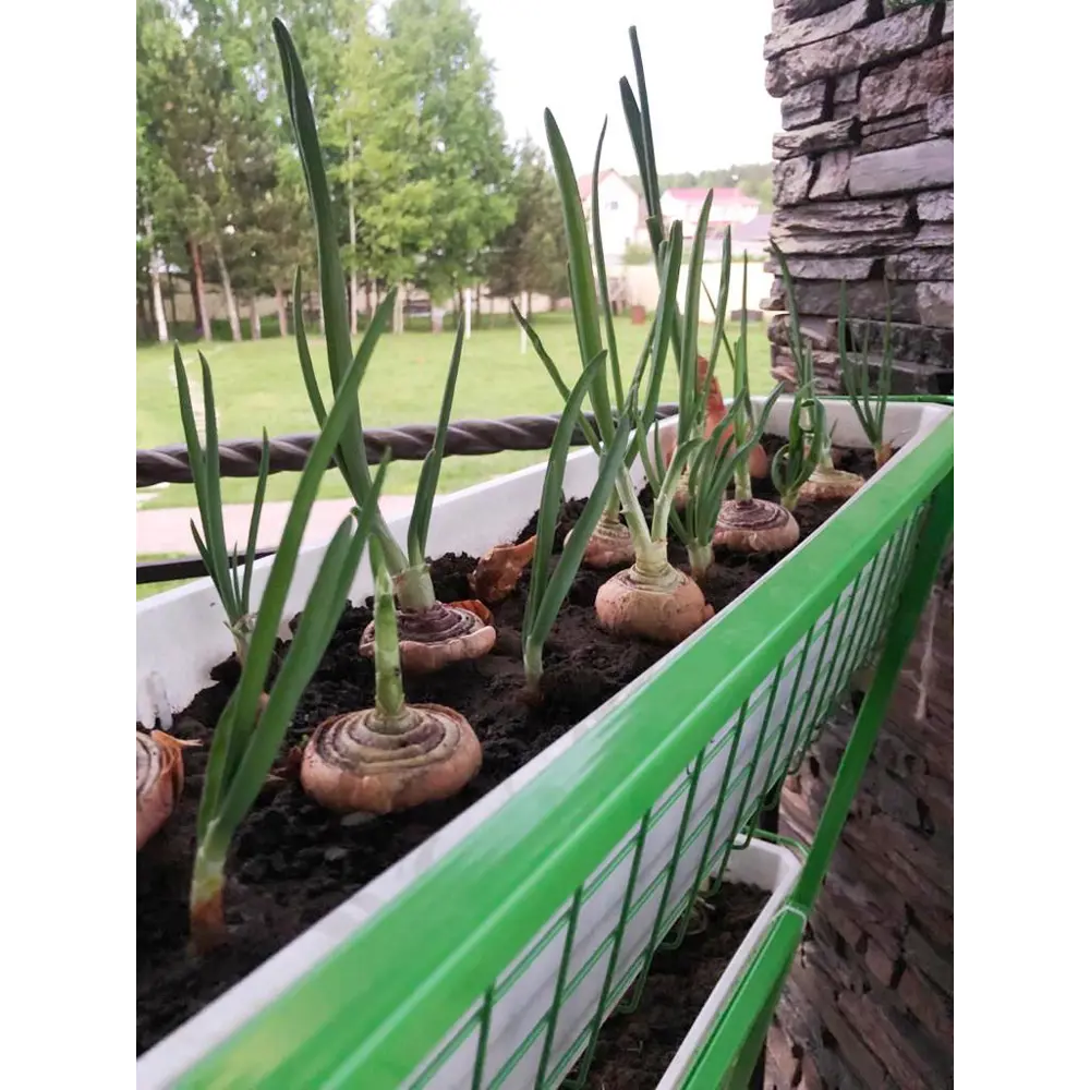 Вертикальный огород на 6 кашпо 82x150x50 см v122.4 л металл зеленый Santreyd STLM-2033035 - Вид №5