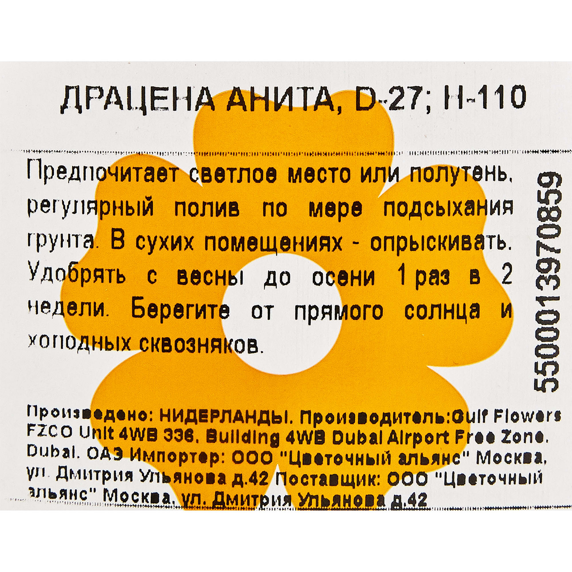 82850311 Драцена Анита 27х110 см Santreyd  - Вид №2