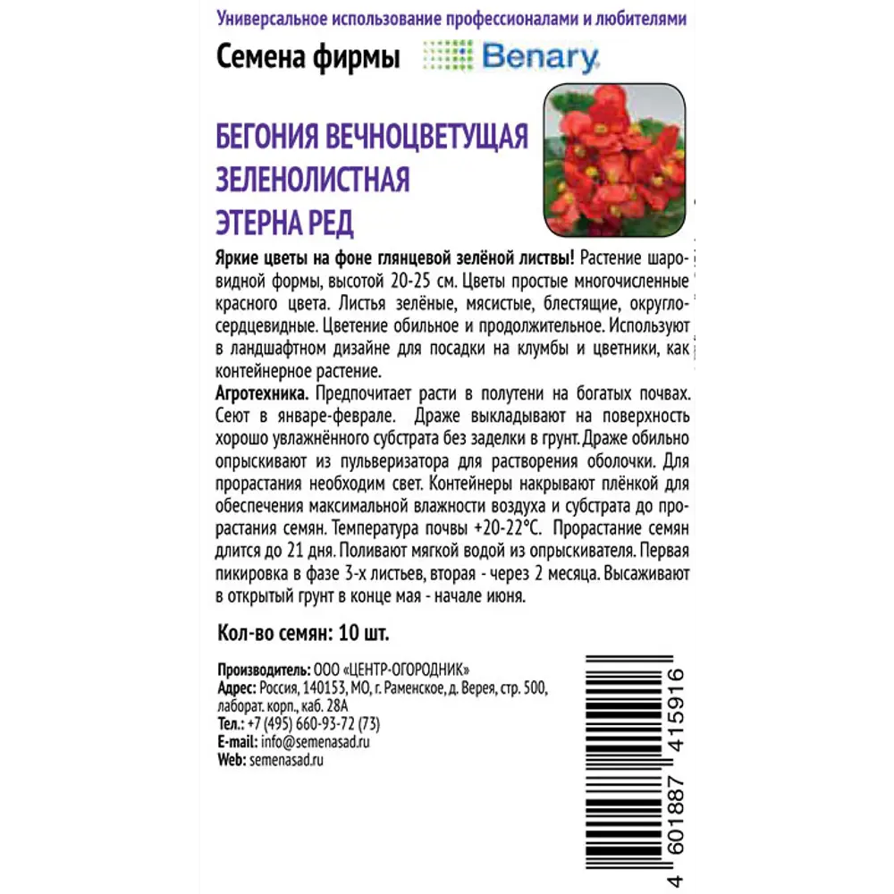 Бегония вечноцветущая Золотой блик ПОИСК - солнечные цветы для сада 89401253 STLM-1578200 - Вид №1