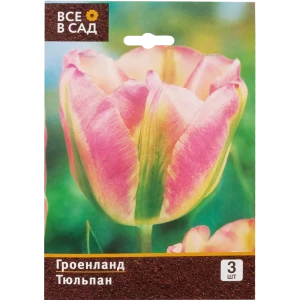 Тюльпан «Гроенланд» размер луковицы 10/11, 3 шт.
