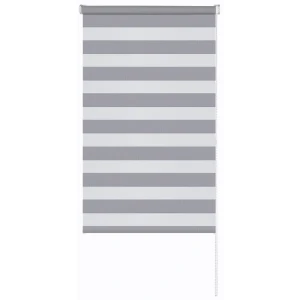 Рулонная штора день-ночь MIAMOZA Петер 55×160 см серая 89411333