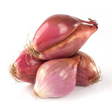 Лук-шалот Santreyd 2113