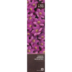 Клематис гибридный Вилли де Лион в тубе