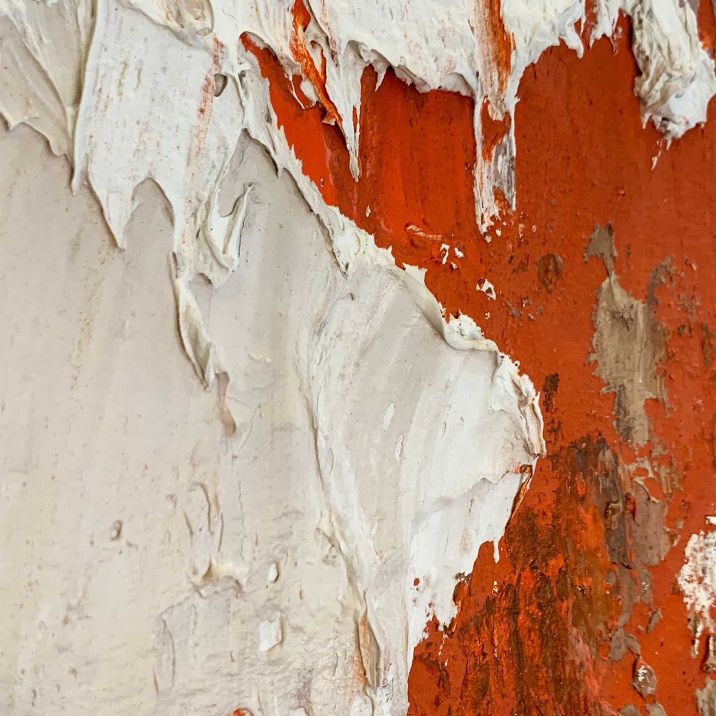 Холст рамки Agave COLORFUL 2 ARCH-00139686 - Вид №1