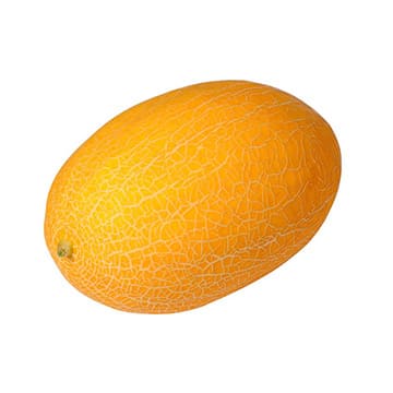 Дыня медовая Santreyd 31120