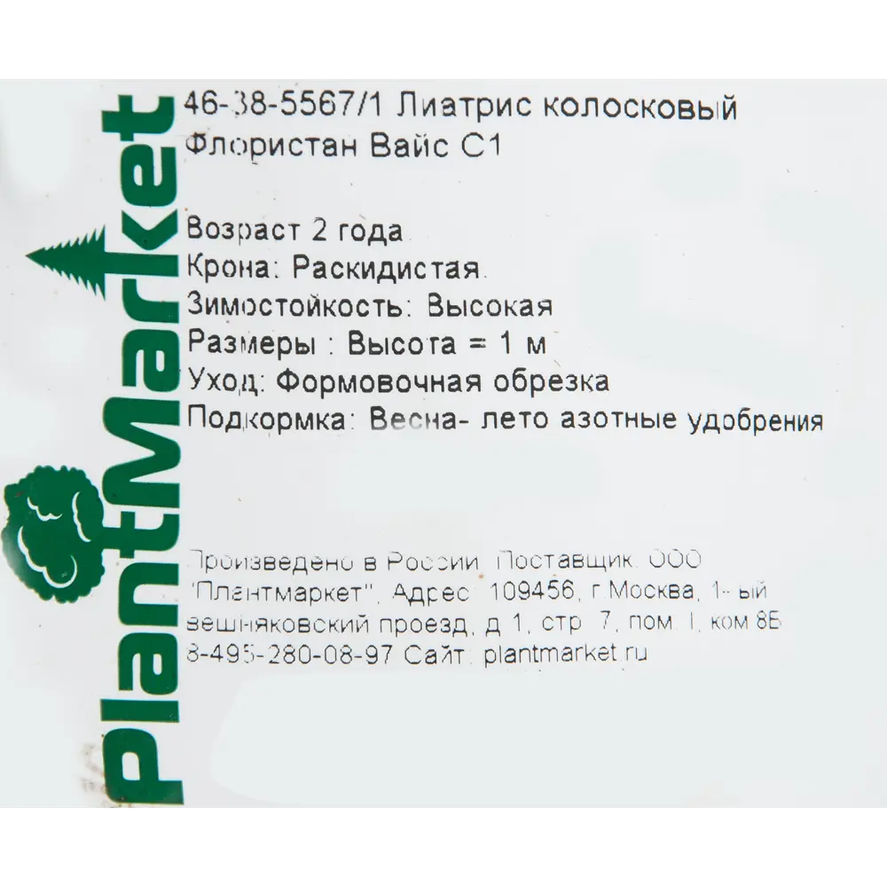 Лиатрис колосковый «Флористан Вайс» 14x40 см PLANTMARKET STLM-2079184 - Вид №1