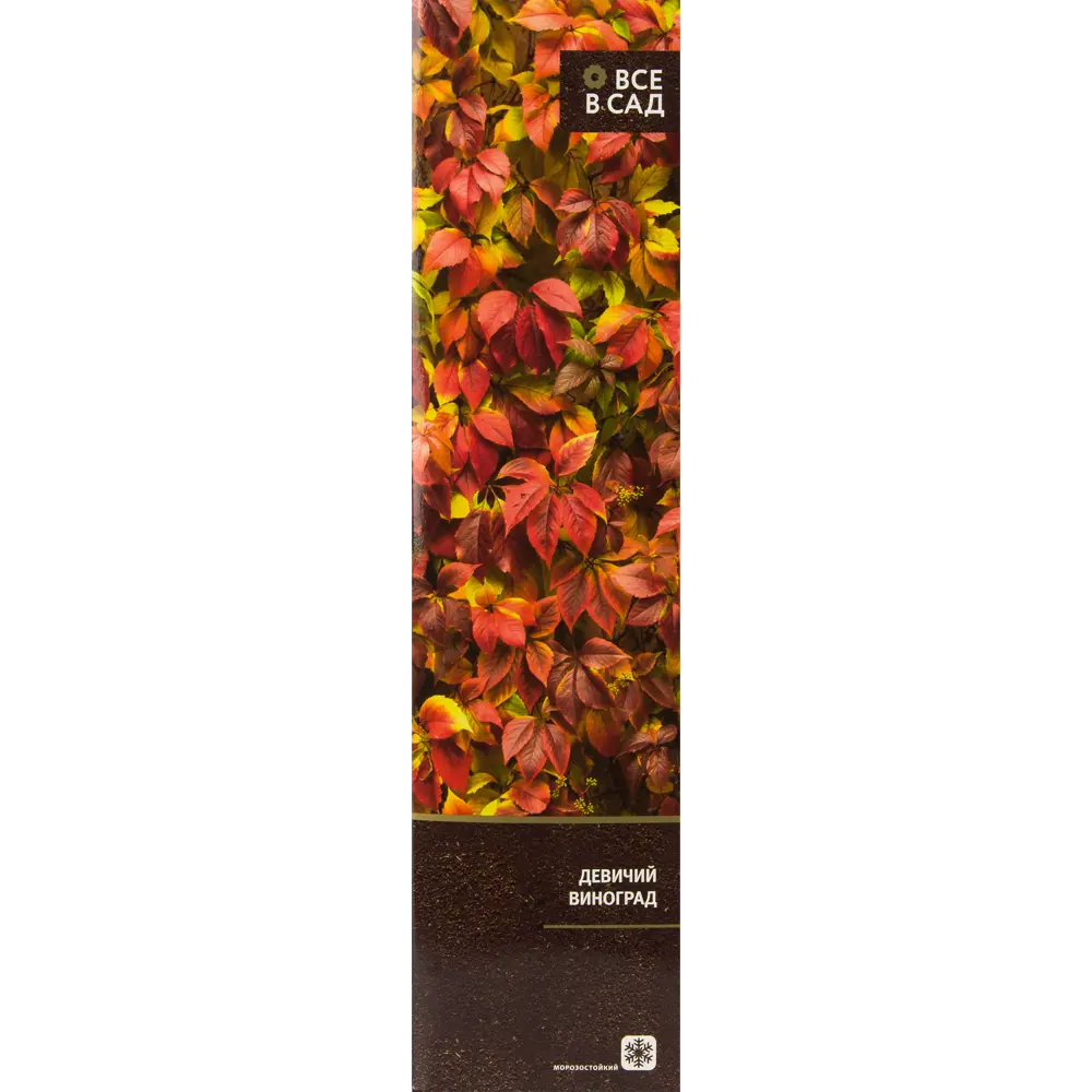 Девичий виноград в тубе ВСЕ В САД STLM-2176208