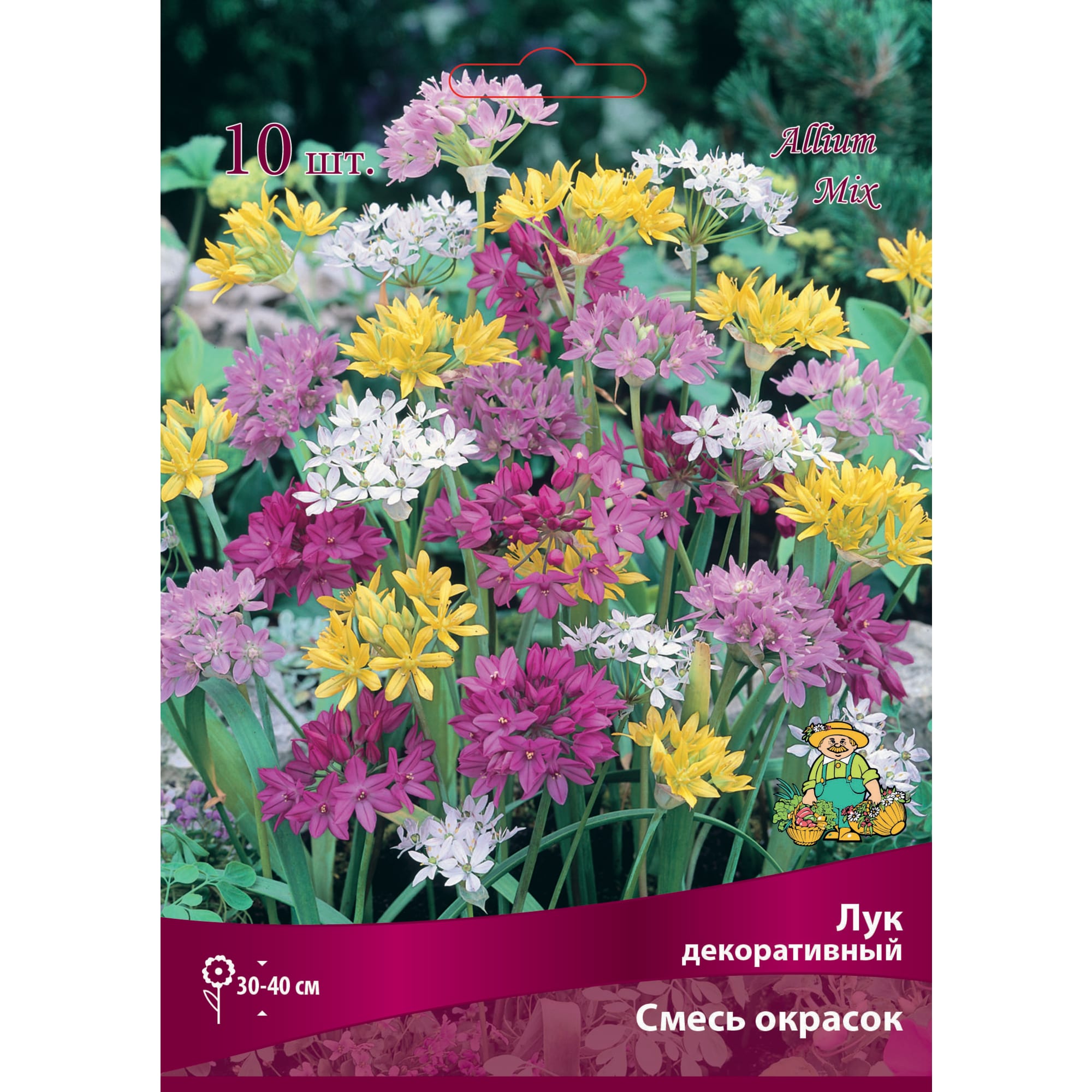 Лук декоративный смесь окрасок размер луковицы 5/6, 10 шт Santreyd 82661874