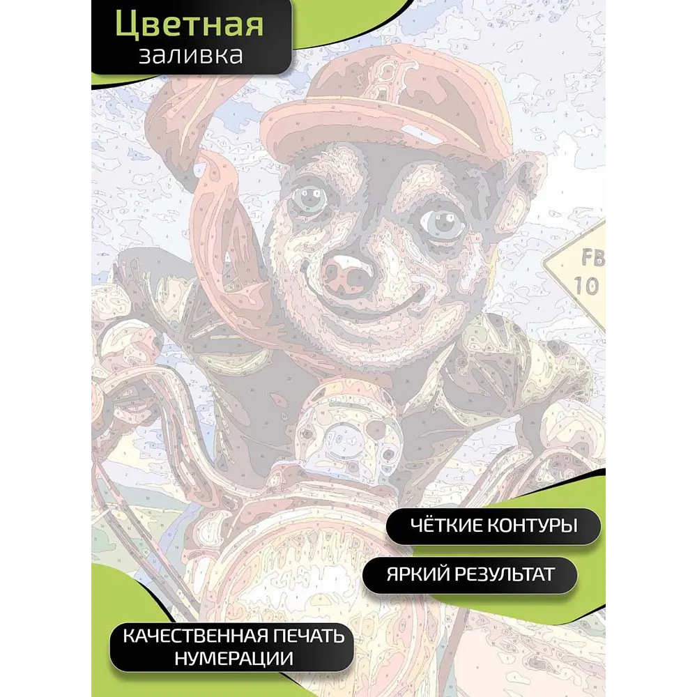 Картина по номерам Fbrush Мотоциклист 40x50 см STLM-2014388 - Вид №3