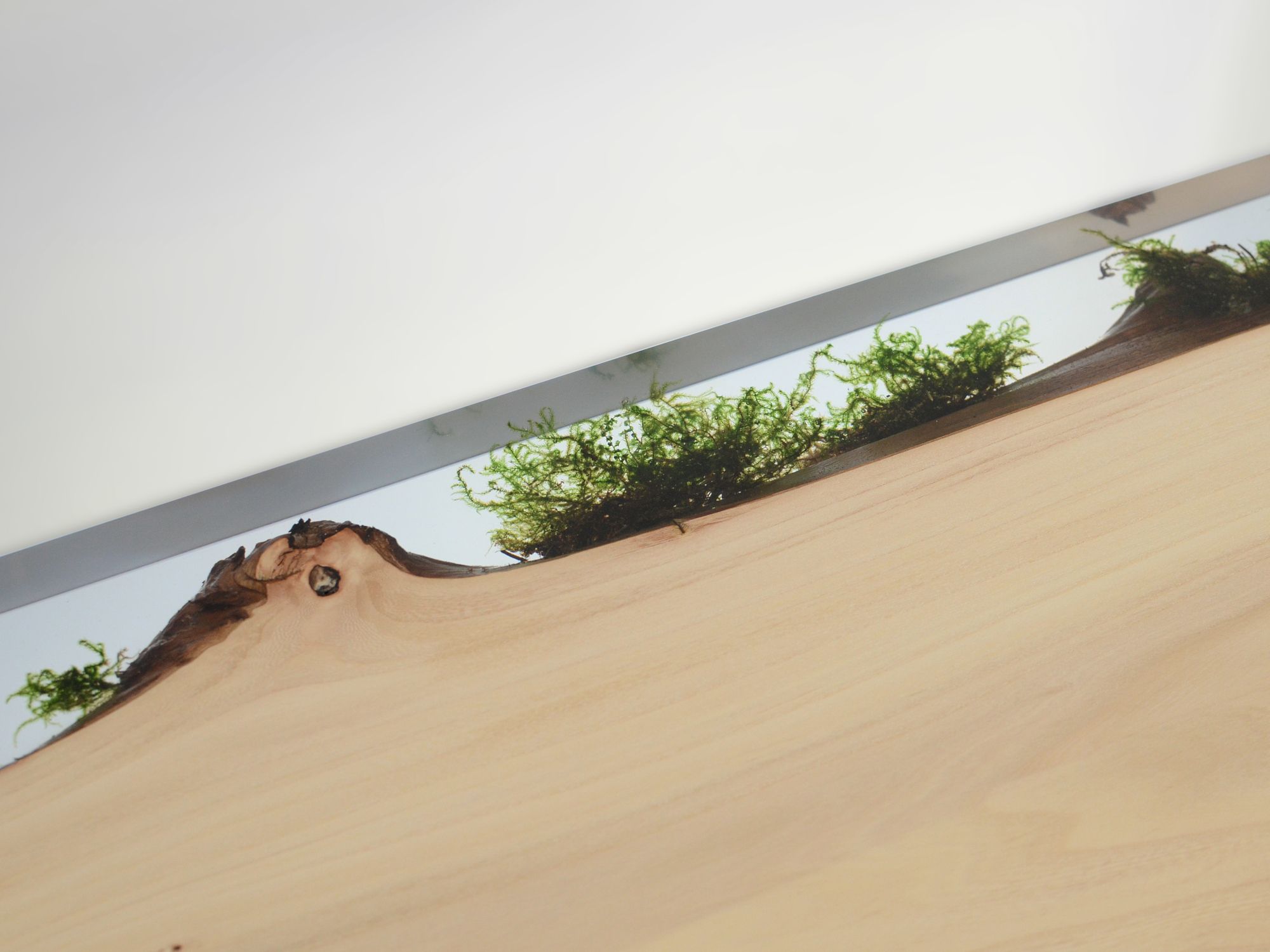 Прямоугольная консоль alcarol Подлесок ARCH-00030611 - Вид №10