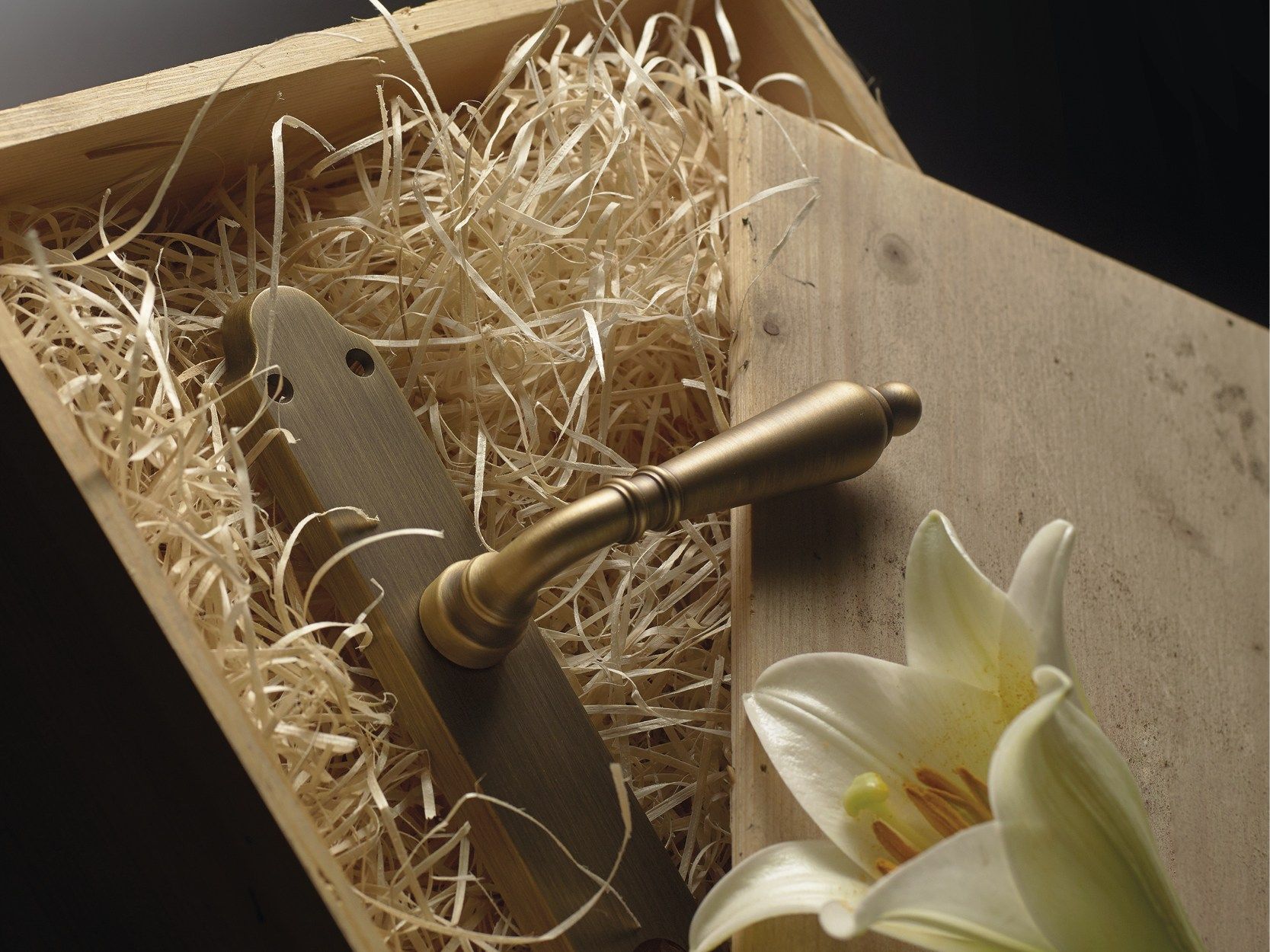 Классический стиль латунная ручка на пластине LINEA CALI' Флоренция ARCH-00048699 - Вид №1