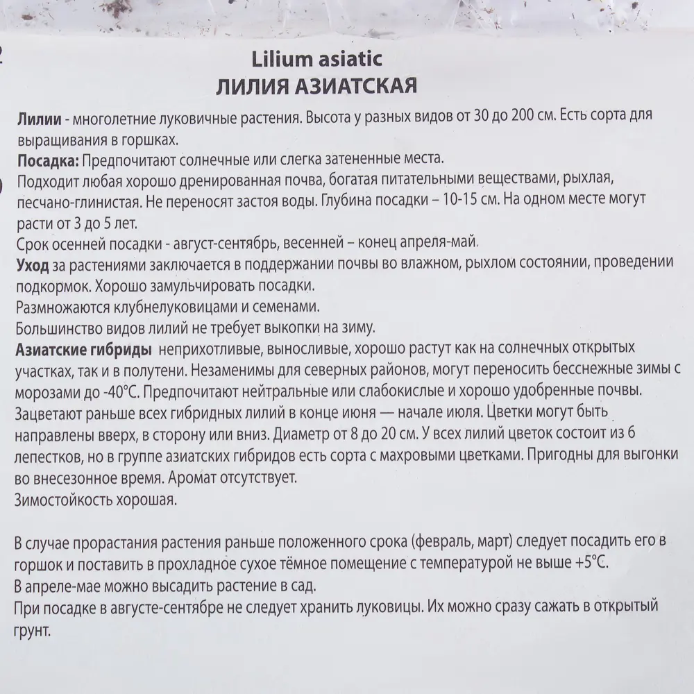 Лилия азиатская Тинос 14/16, 1 шт 81945469 STLM-2002358 Santreyd  - Вид №2