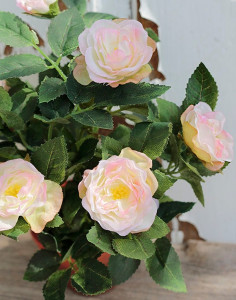 2146 500 a2 Шелковые розы кустовые, горшечные, 23 см, светло-розовые H-andreas