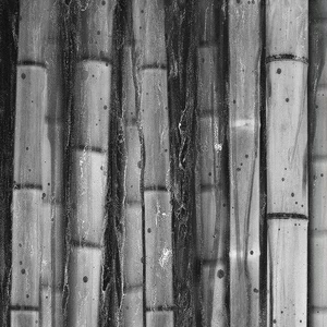Арт-панель на холсте Alex Turco Organic Bamboo Jangle In Silver