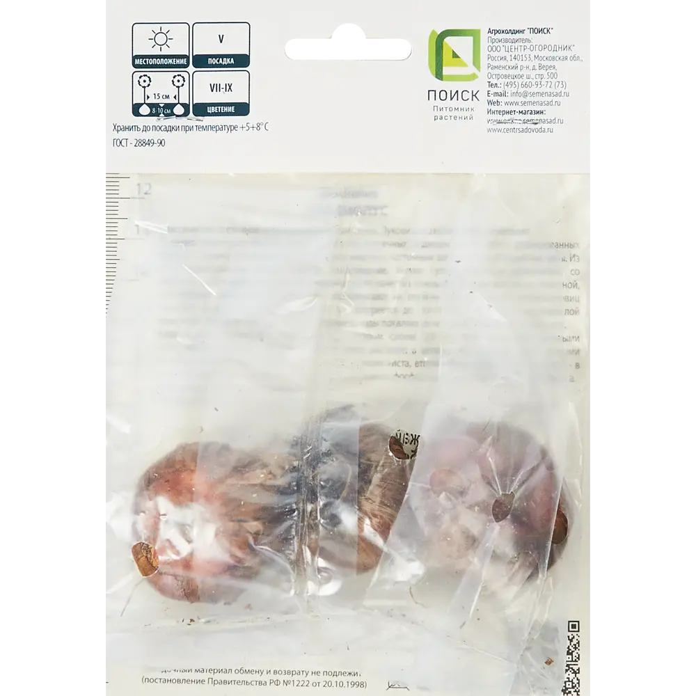 Гладиолус крупноцветковый Блэк Джек, 3 шт ПОИСК STLM-2195096 - Вид №1