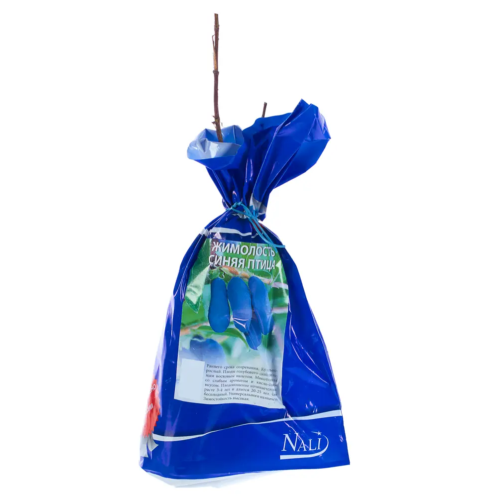 Жимолость сьедобная Синяя птица (пакет) Santreyd STLM-2047061