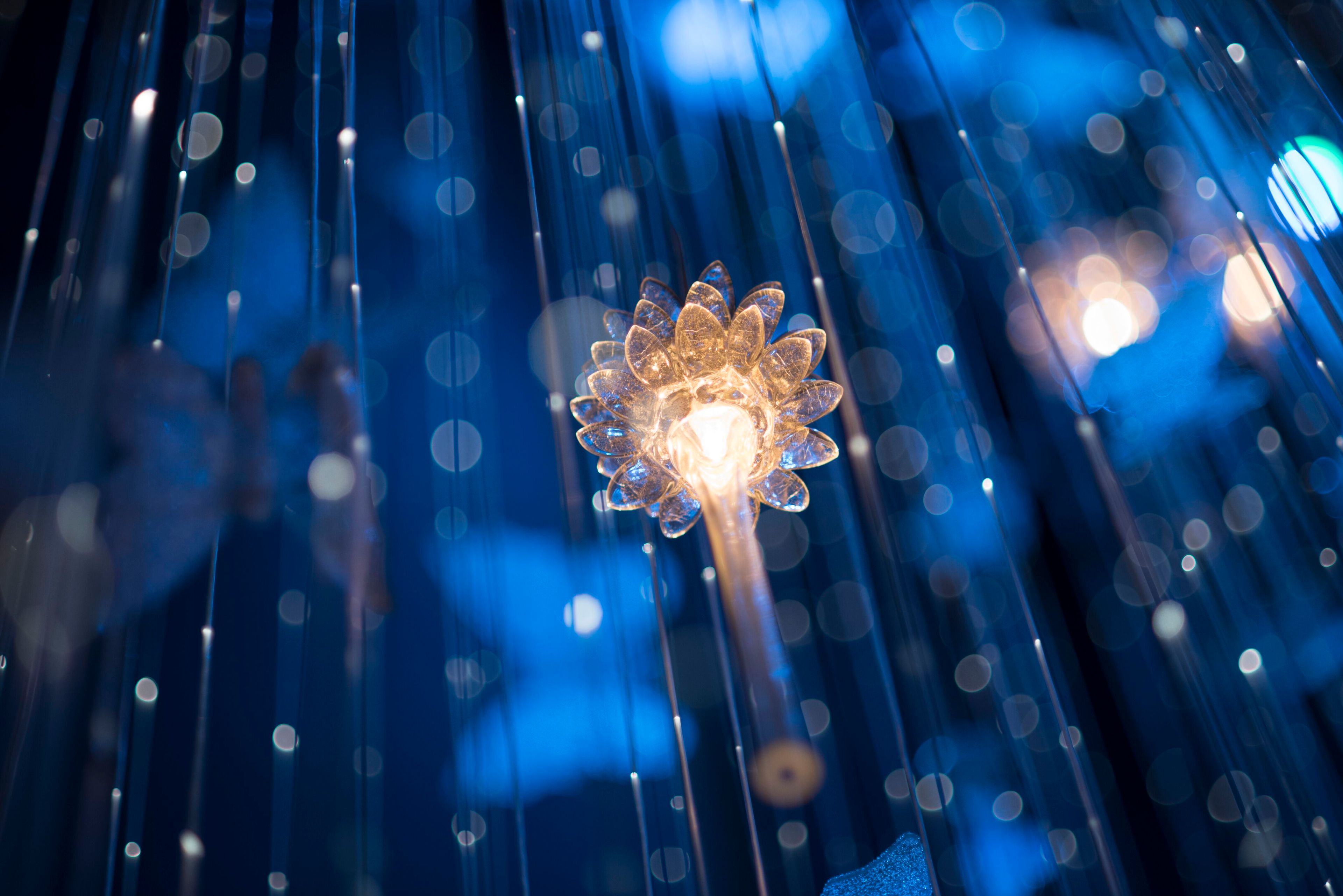 Стеклянный подвесной светильник Patrizia Volpato Butterfly ARCH-00108924 - Вид №4